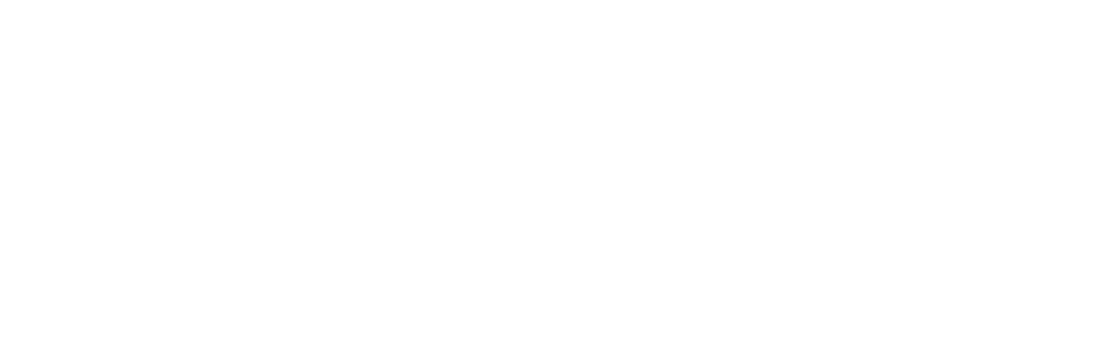 Tecnic Solutions Logo